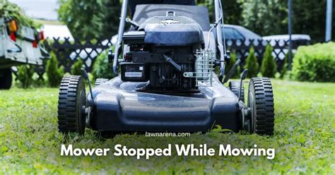 Reasons Your Mower Stopped While Mowing Lawn Arena