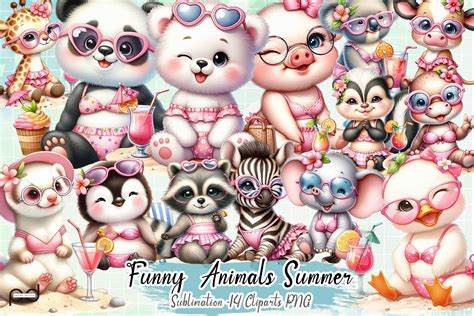 Funny Animals Summer Clipart PNG Graphic by Padma.Design · Creative Fabrica