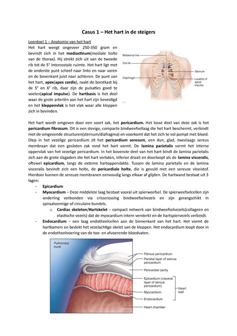 Casus 1 Het Hart In De Steigers Casus 1 Het Hart In De Steigers
