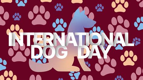 International Dog Day 2023 Today: Date, Theme, History, Significance ...