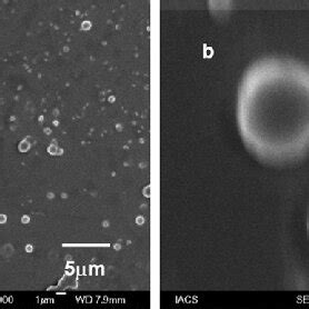 A And B Fe Sem Images Of Compound Exhibit The Formation Of