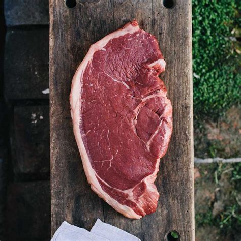 Grass Fed Aberdeen Angus Rump Steak — Wild And Rooted Farming Grass