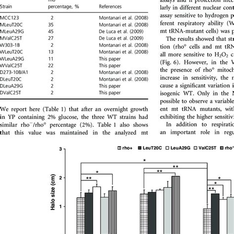 Generation Of Petites In Wild Type And Mt Trna Mutant Strains