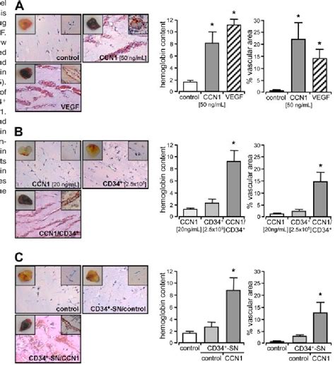 Figure From The Angiogenic Factor Ccn Promotes Adhesion And