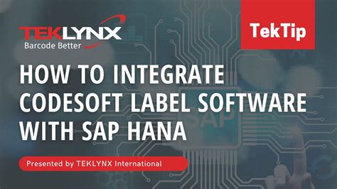 Tektip How To Integrate Codesoft Label Software With Sap Hana Youtube