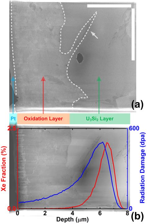 Overview Of The Investigated Tem Lamella A A Sem Secondary Electron