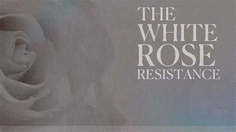 a white rose with the words, the white rose resistance