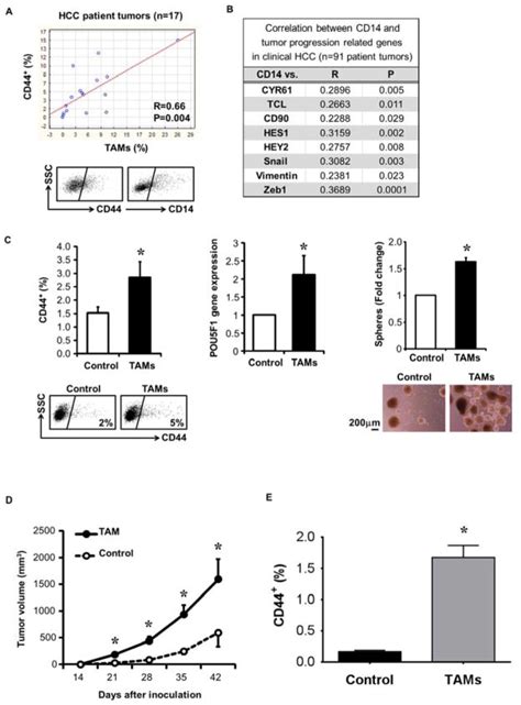 Tumor Associated Macrophages Produce Interleukin 6 And Signal Via Stat3