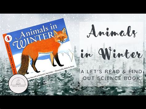 Animals in Winter - Read Aloud Book…: English ESL video lessons