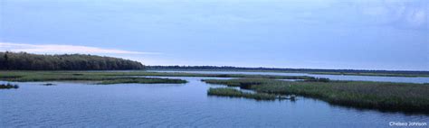 Marshes | Wisconsin Wetlands Association