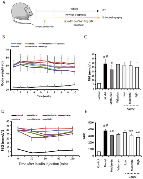 Guan Xin Dan Shen Formulation Protects Db Db Mice Against Diabetic