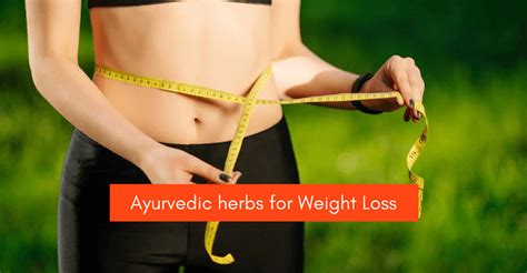 Ayurvedic Herbs for Weight Loss - Wellness Mantra