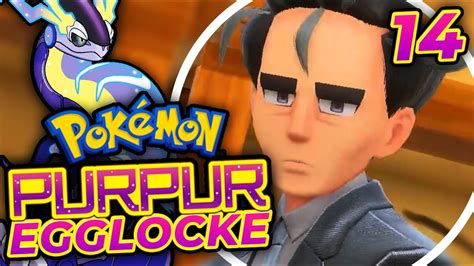 Pokémon Purpur Egglocke 14 Alle LIEBEN Aoki YouTube