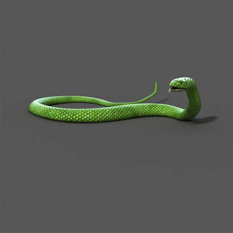 Snake 3D Model Rigged Free