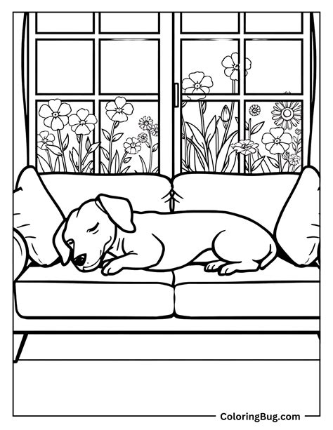 Best 13 30 Dachshund Coloring Pages (Free Printable PDFs) – Artofit