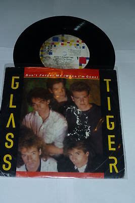 Glass Tiger Don T Forget Me When I M Gone Uk Vinyl Single