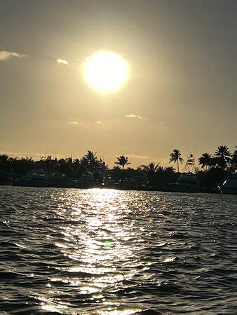 Lagerhead Cycleboats Fort Lauderdale All You Need To Know BEFORE You Go