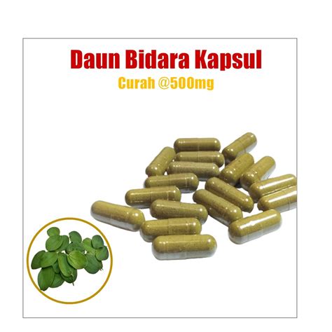 Jual Daun Bidara Curah Harga Per 1 Kapsul Pcs Shopee Indonesia