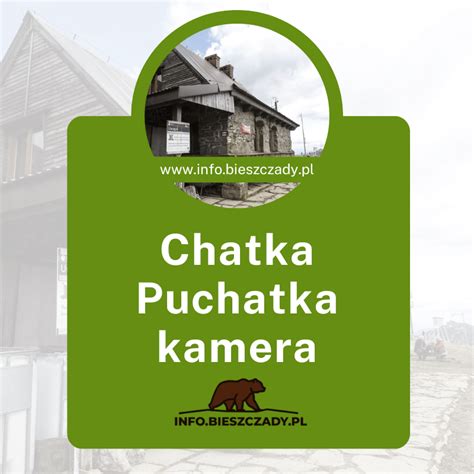 Chatka Puchatka Kamera Internetowa Kamera Chatka Puchatka