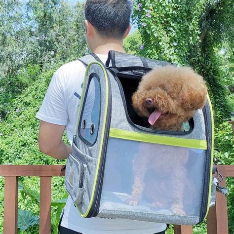 Sac De Transport Animaux Sac Dos Robuste Et Extensible Pecute