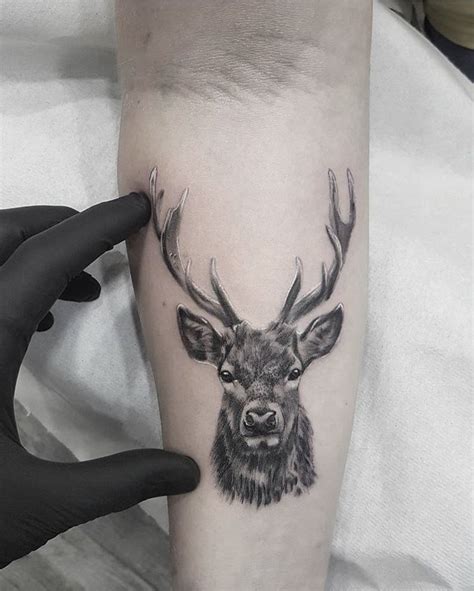 Stag Deer Tattoo