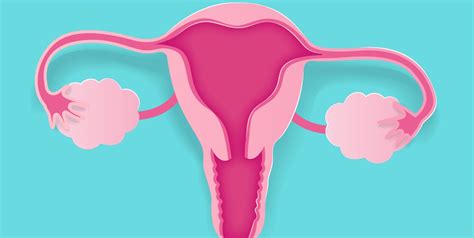 7 Ovarian Cancer Causes And Risk Factors To Know According To Doctors