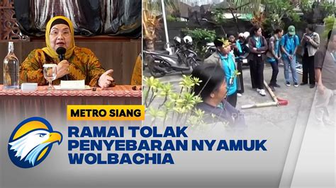 Eks Menkes Siti Fadilah Ungkap Efek Jangka Panjang Wolbachia YouTube