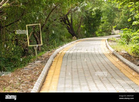 Immerse Yourself In The Serenity Of Nature With This Photo Of A Long