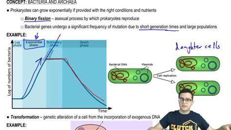 An F Bacterial Cell Pearson Channels