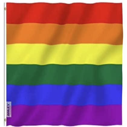 The Gay Flag