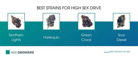 Cannabis Strains And Products For Better Sex List Of Best Arousal Strains 2022 Askgrowers