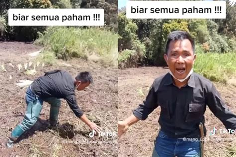 Mang Uprit Petani Yang Murka Bunga Edelweiss Ranca Upas Rusak Akibat