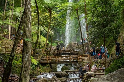 Air Terjun Jumog Karanganyar Jam Buka Harga Tiket