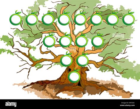 Diagrama De Arbol Fotografias E Imagenes De Alta Resolucion Alamy Images