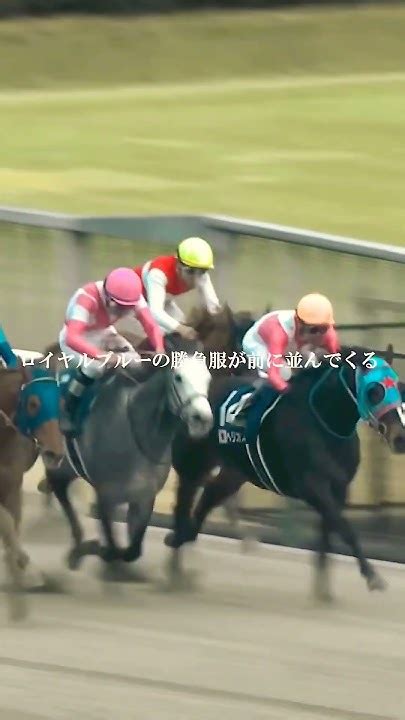 上半期g1レース名シーン！第9弾！フェブラリーステークスを制したレモンポップ！坂井瑠星との名コンビ誕生！ Horseracing 競馬