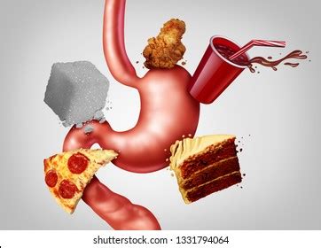 digestive health affects junk food  stock illustration