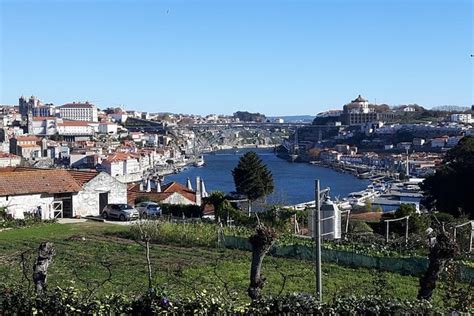 Porto Private Full Day Tour