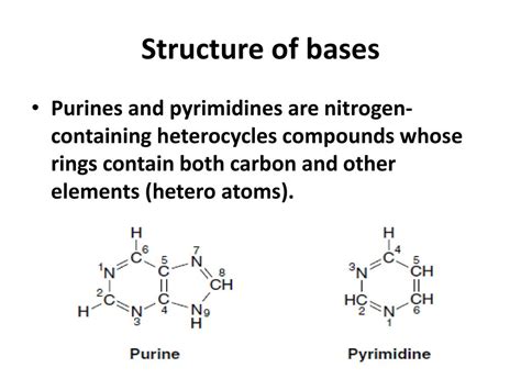 Purine Vs Pyrimidine Structure