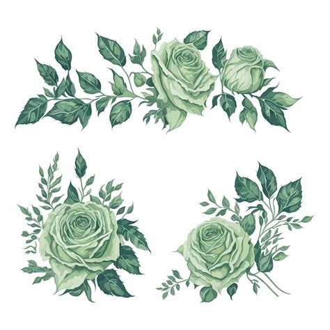 Conjunto Elegante De Arranjos Florais Em Aquarela Rosa Verde Vetor