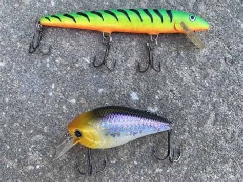 Jerkbait Vs Crankbait Differences Techniques Explained Panfish Nation