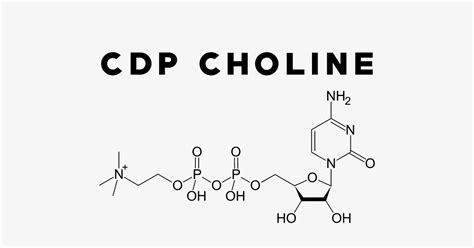 CDP Choline Uses Side Effects Interactions Dosage And Supplements