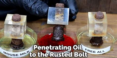 How To Remove Rusted Bolts Without Heat 10 Easy Steps 2024