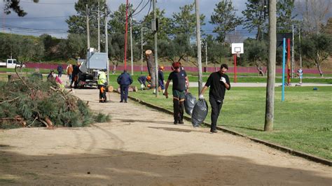 Opera O De Limpeza E Desmata O No Parque Urbano Junta De Freguesia