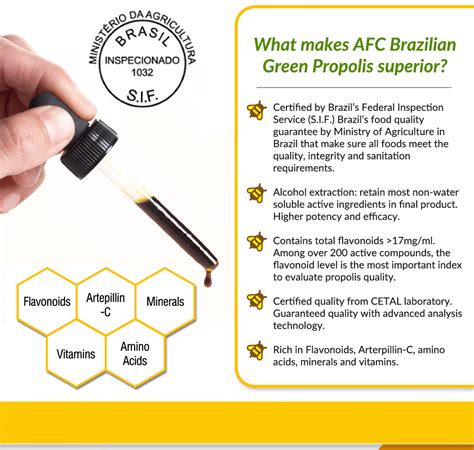 Brazilian Green Propolis Extract Immune Health AFC Japan