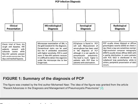 Figure 1 From Exploring The Differences In Pneumocystis Pneumonia Infection Between Hiv And Non