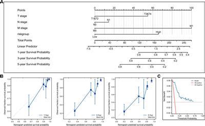 Frontiers Establishment And Validation Of A Polygene Prognostic Model