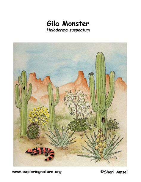 Gila Monster