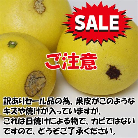 【楽天市場】line新規登録で200円offクーポン／訳あり土佐文旦約10kg 3l～lサイズいずれかおまかせ【日焼け果傷あり】【家庭用