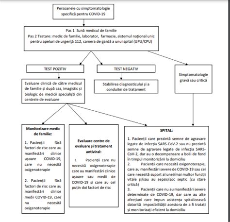 Ghidul Pacientului Covid Ce Faci De La Primele Simptome I P N La