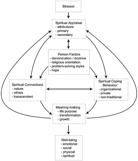 Figure From Understanding The Nature And Role Of Spirituality In